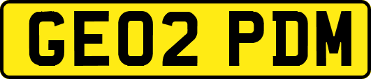 GE02PDM