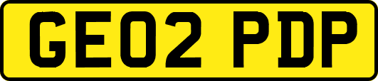 GE02PDP