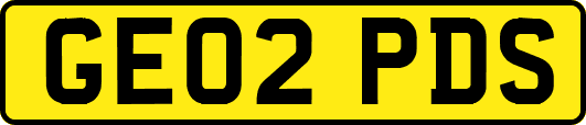 GE02PDS