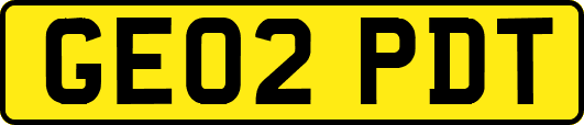 GE02PDT