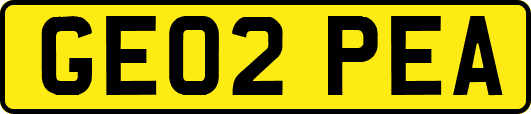 GE02PEA