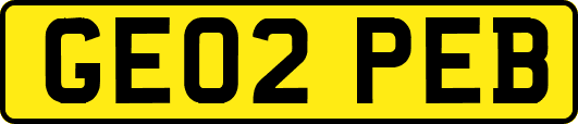 GE02PEB