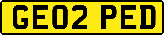 GE02PED