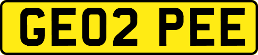 GE02PEE