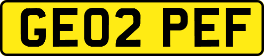 GE02PEF