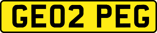 GE02PEG