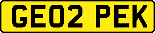 GE02PEK