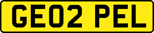 GE02PEL