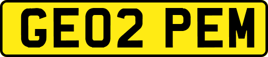 GE02PEM