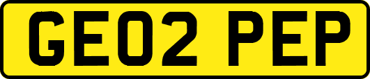 GE02PEP