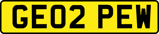 GE02PEW