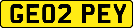 GE02PEY