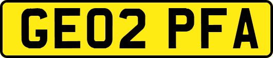 GE02PFA