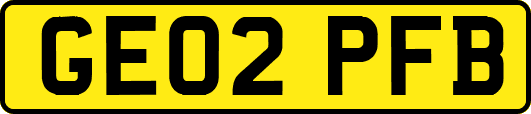 GE02PFB