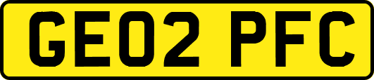 GE02PFC