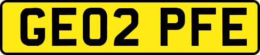 GE02PFE