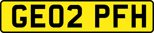 GE02PFH