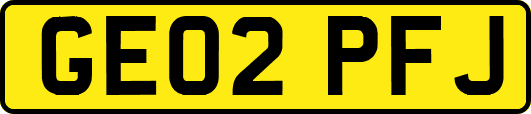GE02PFJ
