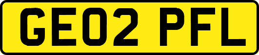 GE02PFL