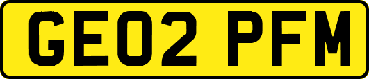 GE02PFM