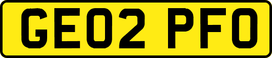 GE02PFO