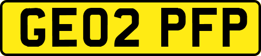 GE02PFP