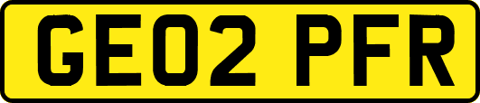 GE02PFR