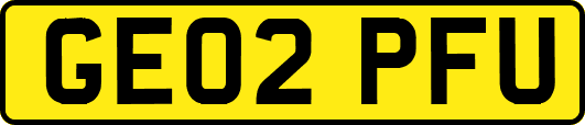 GE02PFU