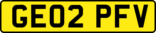 GE02PFV