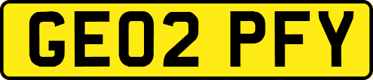 GE02PFY