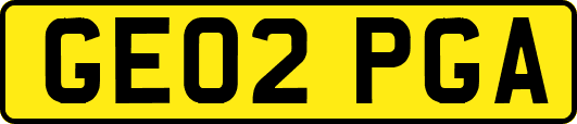 GE02PGA