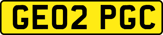 GE02PGC