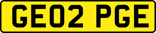 GE02PGE