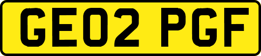 GE02PGF