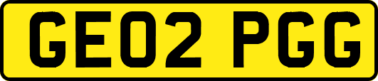 GE02PGG