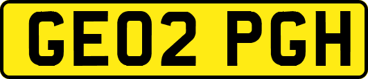 GE02PGH