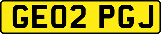 GE02PGJ