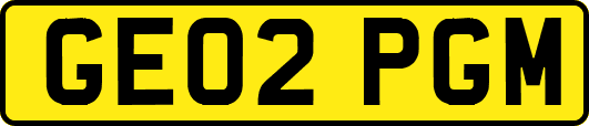 GE02PGM