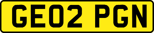 GE02PGN
