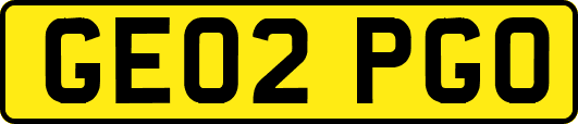 GE02PGO