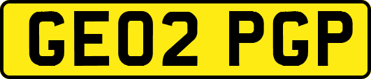GE02PGP