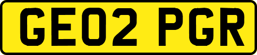 GE02PGR