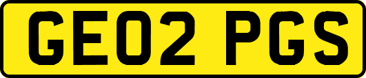 GE02PGS