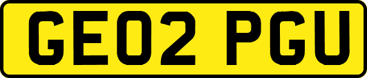 GE02PGU