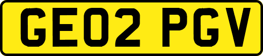 GE02PGV