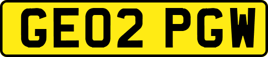 GE02PGW