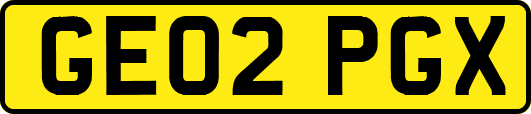 GE02PGX