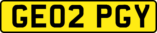 GE02PGY