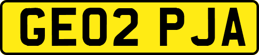 GE02PJA