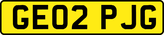 GE02PJG